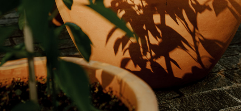 Symbolbild. Nahaufnahme eines Pflanzentopfs, unscharf in der linken Ecke. Im Fokus ist der Schatten der Pflanze.