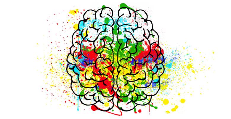 Cerveau coloré