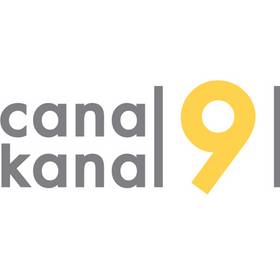 Logo de Canal 9