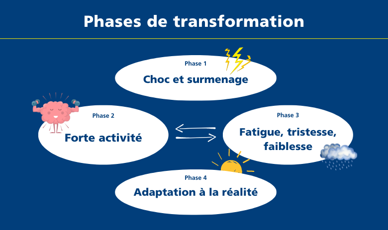 Quatre phases de transformation