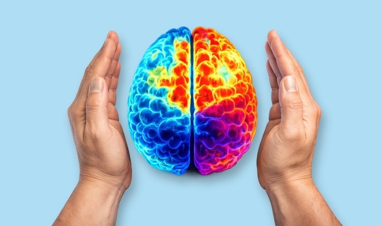 Illustration eines farbigen Gehirns zwischen zwei Händen. Der Hintergrund ist hellblau.