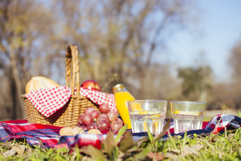 Panier de pique-nique en plein air