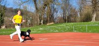 Ein junger Mann mit gelbem T-Shirt und weissen Hosen läuft gemeinsam mit einem schwarzen Labrador auf einer Laufbahn.