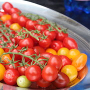 Apéro Tomaten