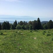 Vue sur le lac
