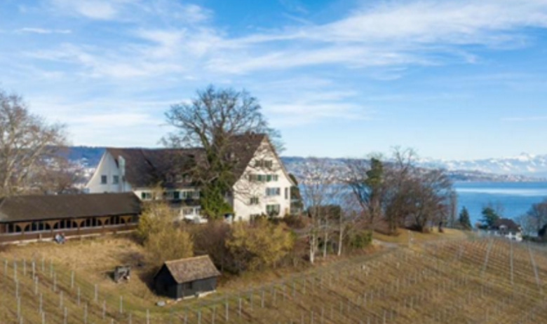 Landgasthof Halbinsel Au. Ein Anwesen auf einem Hügel, das einen See überschaut. In der Ferne sind Berge zu sehen.